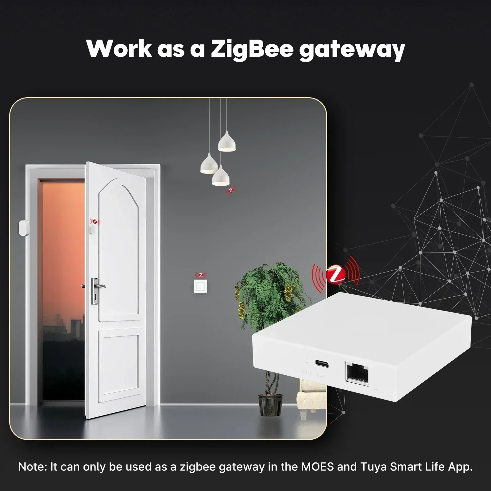 MOES Tuya Zigbee Matter Thread - Smart Home Vimar บทวิจารณ์และราคา
