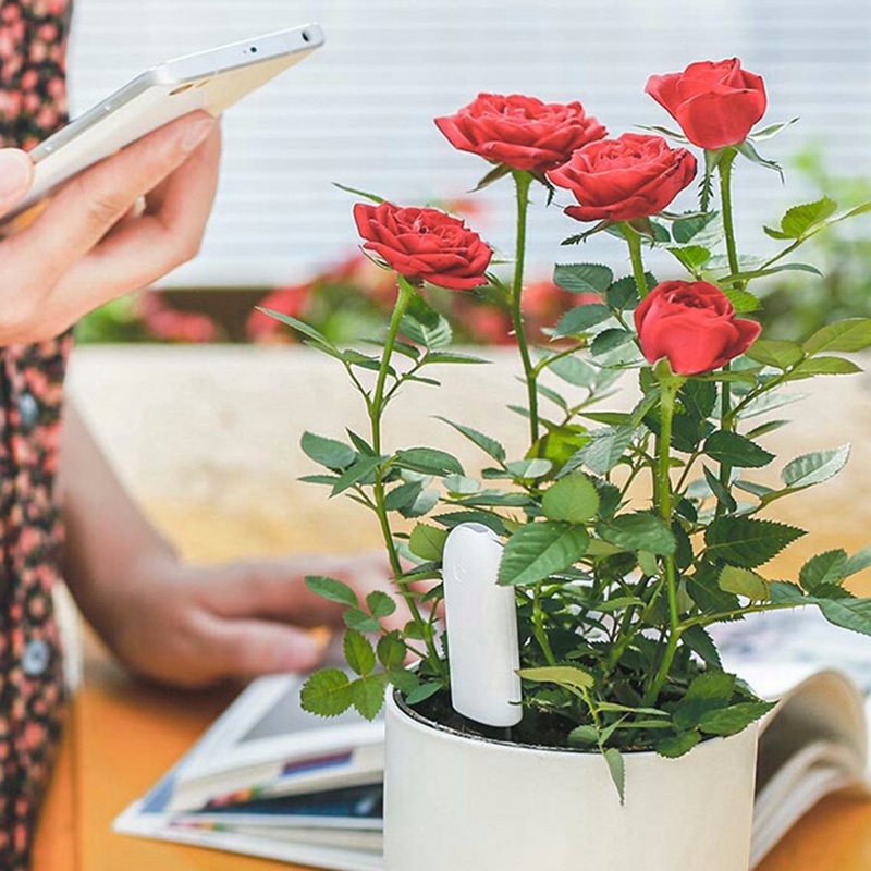 HHCC Flower Monitor Flora Gard - Smart Home Xiaomi Kit บทวิจารณ์และราคา