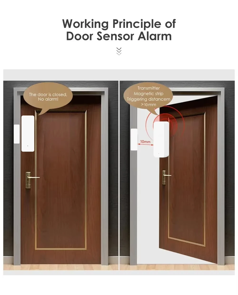 Tuya Zigbee/WiFi Magnetic Door - Door Window Sensor บทวิจารณ์และราคา